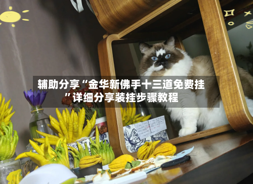 辅助分享“金华新佛手十三道免费挂”详细分享装挂步骤教程-第1张图片