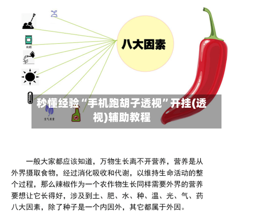 秒懂经验“手机跑胡子透视”开挂(透视)辅助教程-第2张图片