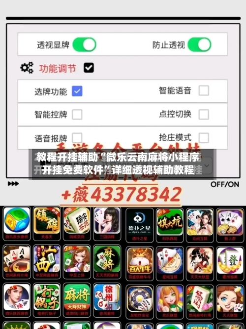 教程开挂辅助“微乐云南麻将小程序开挂免费软件	”详细透视辅助教程-第2张图片