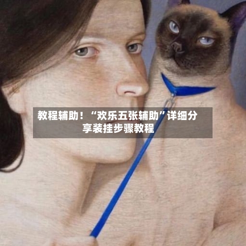 教程辅助！“欢乐五张辅助”详细分享装挂步骤教程-第2张图片