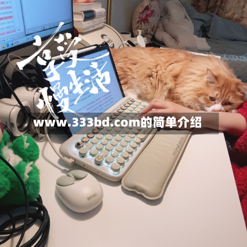 www.333bd.com的简单介绍-第1张图片