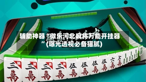 辅助神器“微乐河北麻将万能开挂器”(曝光透视必备猫腻)-第2张图片