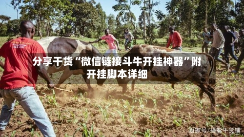 分享干货“微信链接斗牛开挂神器”附开挂脚本详细-第2张图片