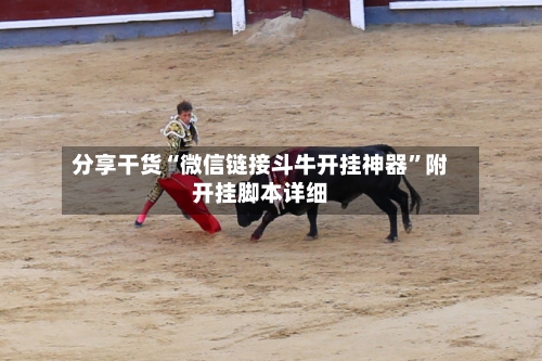 分享干货“微信链接斗牛开挂神器	”附开挂脚本详细-第3张图片