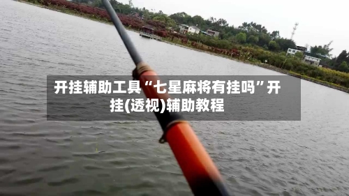 开挂辅助工具“七星麻将有挂吗	”开挂(透视)辅助教程-第2张图片