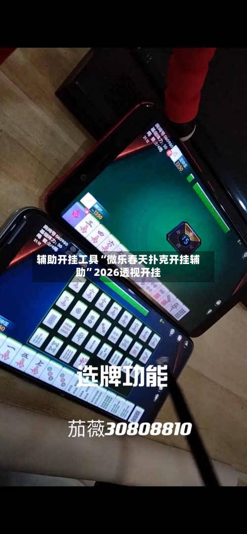 辅助开挂工具“微乐春天扑克开挂辅助	”2026透视开挂-第1张图片