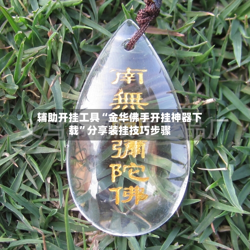 辅助开挂工具“金华佛手开挂神器下载	”分享装挂技巧步骤-第1张图片