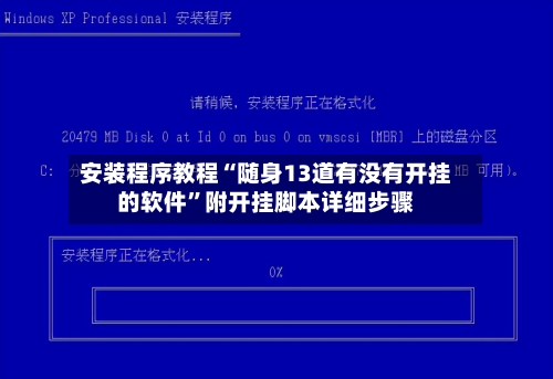 安装程序教程“随身13道有没有开挂的软件	”附开挂脚本详细步骤-第1张图片