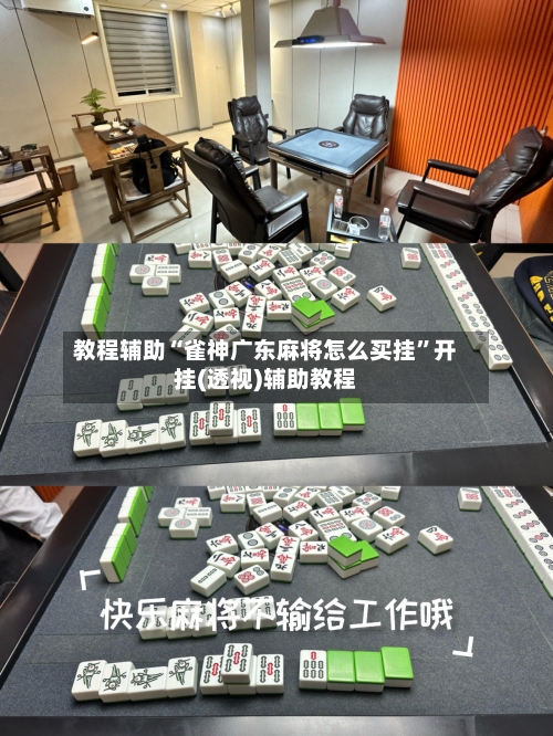 教程辅助“雀神广东麻将怎么买挂	”开挂(透视)辅助教程-第2张图片