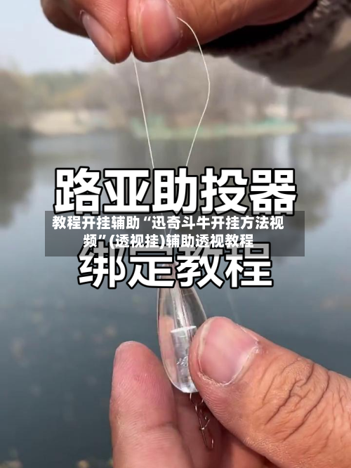教程开挂辅助“迅奇斗牛开挂方法视频”(透视挂)辅助透视教程-第1张图片