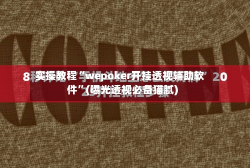 实操教程“wepoker开挂透视辅助软件”(曝光透视必备猫腻)-第1张图片