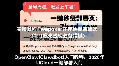 实操教程“wepoker开挂透视辅助软件	”(曝光透视必备猫腻)-第2张图片