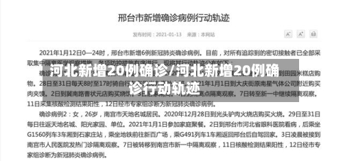 河北新增20例确诊/河北新增20例确诊行动轨迹-第3张图片
