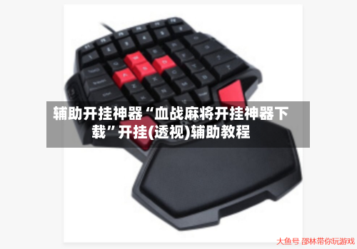 辅助开挂神器“血战麻将开挂神器下载”开挂(透视)辅助教程-第1张图片