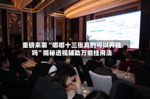 重磅来袭“嘟嘟十三张真的可以开挂吗”揭秘透视辅助万能挂用法-第3张图片