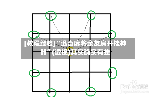 [教程经验]“迅奇麻将亲友房开挂神器”(透视)其实确实有挂-第3张图片