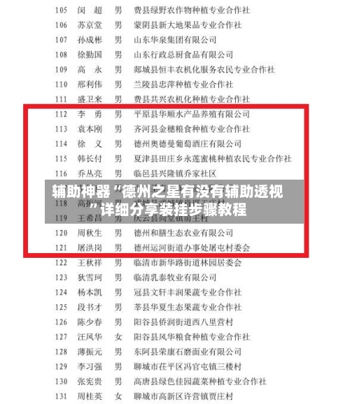 辅助神器“德州之星有没有辅助透视”详细分享装挂步骤教程-第1张图片