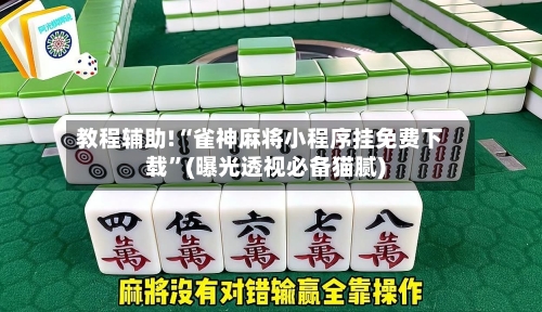 教程辅助!“雀神麻将小程序挂免费下载”(曝光透视必备猫腻)-第1张图片