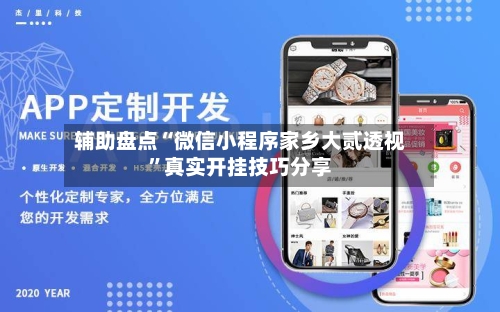 辅助盘点“微信小程序家乡大贰透视”真实开挂技巧分享-第1张图片