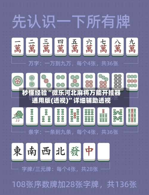 秒懂经验“微乐河北麻将万能开挂器通用版(透视)	”详细辅助透视-第1张图片