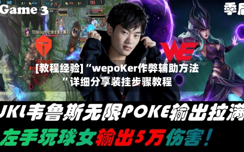 [教程经验]“wepoKer作弊辅助方法”详细分享装挂步骤教程-第1张图片