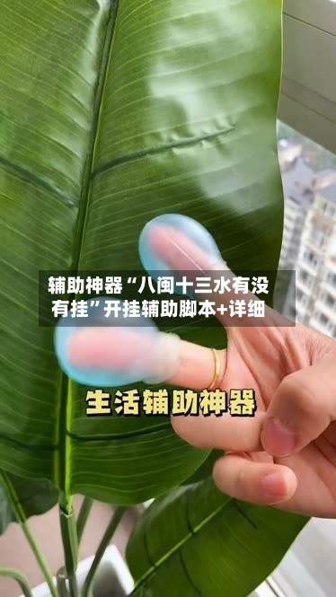 辅助神器“八闽十三水有没有挂”开挂辅助脚本+详细-第3张图片