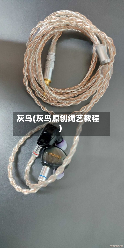 灰鸟(灰鸟原创绳艺教程)-第3张图片