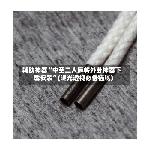 辅助神器“中至二人麻将外卦神器下载安装	”(曝光透视必备猫腻)-第1张图片