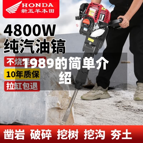 1989的简单介绍-第2张图片