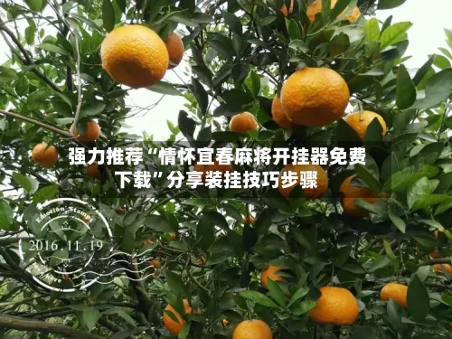 强力推荐“情怀宜春麻将开挂器免费下载	”分享装挂技巧步骤-第2张图片