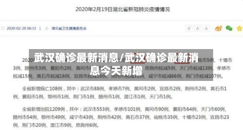 武汉确诊最新消息/武汉确诊最新消息今天新增-第2张图片