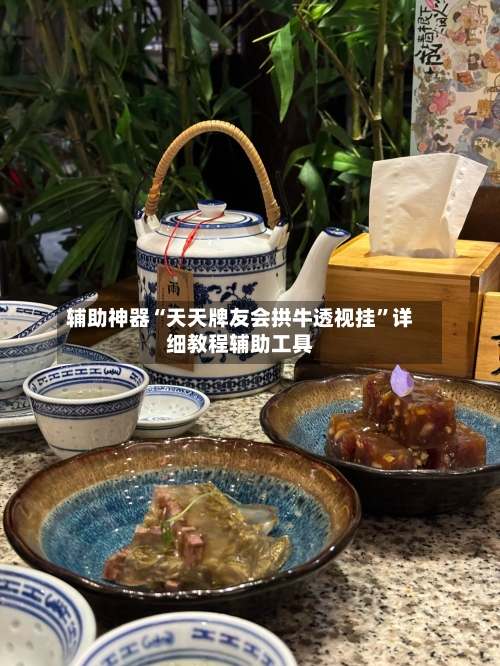 辅助神器“天天牌友会拱牛透视挂”详细教程辅助工具-第2张图片