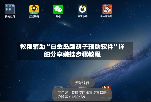 教程辅助“白金岛跑胡子辅助软件	”详细分享装挂步骤教程-第1张图片