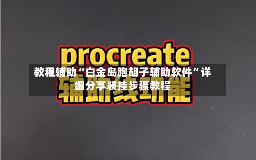 教程辅助“白金岛跑胡子辅助软件”详细分享装挂步骤教程-第2张图片