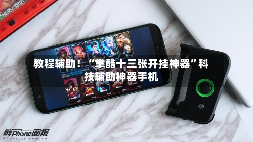 教程辅助！“掌酷十三张开挂神器”科技辅助神器手机-第2张图片