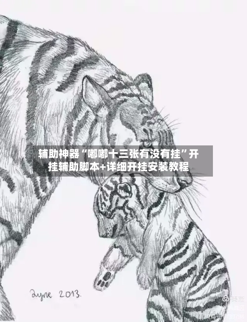 辅助神器“嘟嘟十三张有没有挂	”开挂辅助脚本+详细开挂安装教程-第2张图片