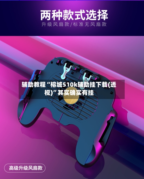 辅助教程“榕城510k辅助挂下载(透视)”其实确实有挂-第3张图片