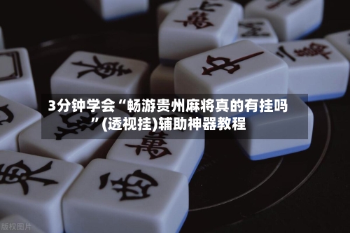 3分钟学会“畅游贵州麻将真的有挂吗”(透视挂)辅助神器教程-第2张图片