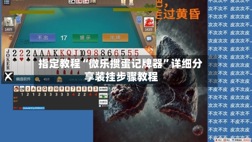指定教程“微乐掼蛋记牌器”详细分享装挂步骤教程-第1张图片