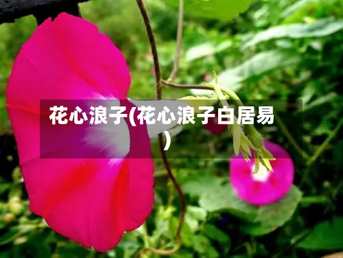 花心浪子(花心浪子白居易)-第3张图片