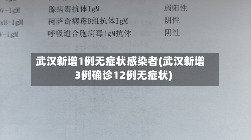 武汉新增1例无症状感染者(武汉新增3例确诊12例无症状)-第3张图片