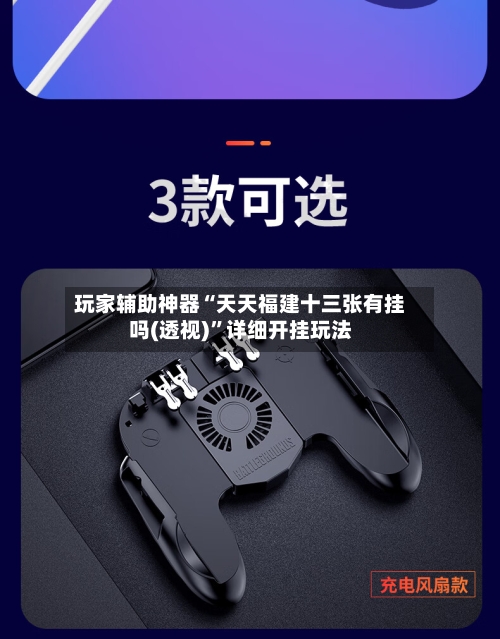 玩家辅助神器“天天福建十三张有挂吗(透视)”详细开挂玩法-第2张图片