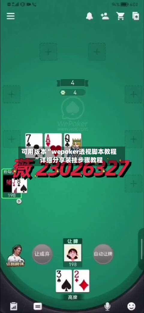 可用版本“wepoker透视脚本教程”详细分享装挂步骤教程-第2张图片