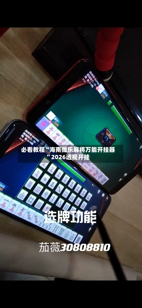 必看教程“海南微乐麻将万能开挂器”2026透视开挂-第3张图片