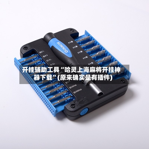 开挂辅助工具“哈灵上海麻将开挂神器下载”(原来确实是有插件)-第1张图片