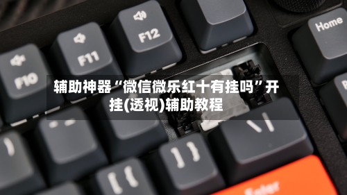 辅助神器“微信微乐红十有挂吗	”开挂(透视)辅助教程-第1张图片