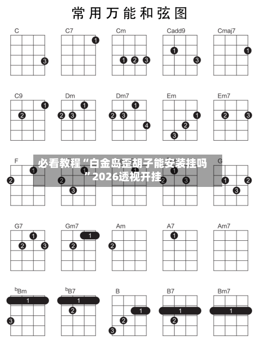 必看教程“白金岛歪胡子能安装挂吗”2026透视开挂-第2张图片