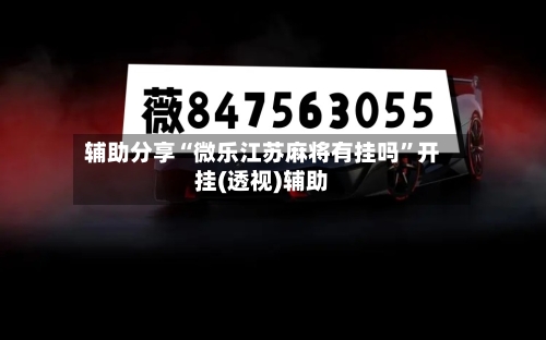 辅助分享“微乐江苏麻将有挂吗”开挂(透视)辅助-第2张图片