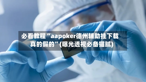 必看教程“aapoker德州辅助挂下载真的假的	”(曝光透视必备猫腻)-第2张图片