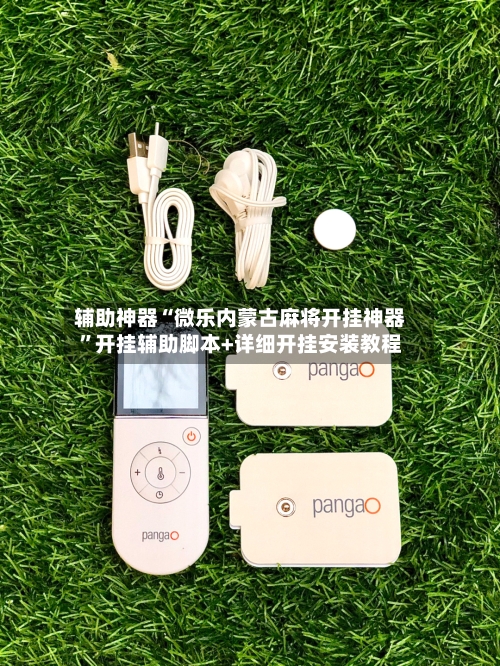 辅助神器“微乐内蒙古麻将开挂神器”开挂辅助脚本+详细开挂安装教程-第3张图片